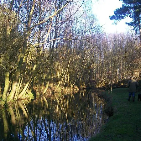 Elmfield House ゲストハウス 4*