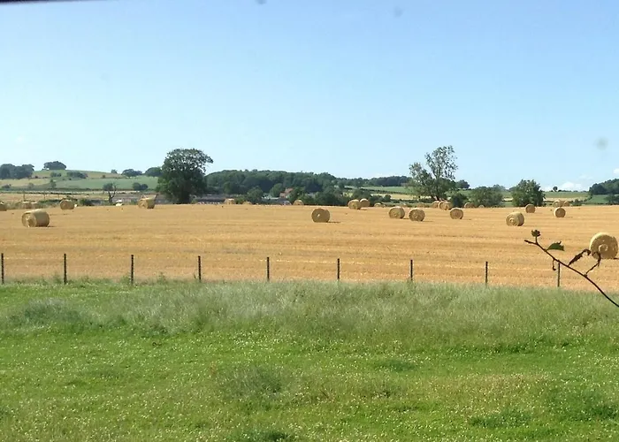 Guest house Elmfield House