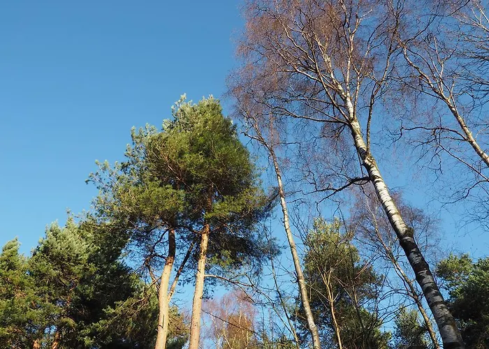 Elmfield House 4* Bedale