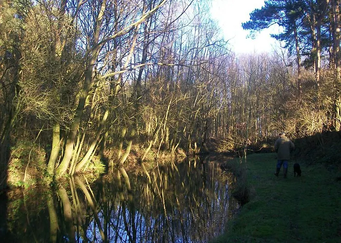 Elmfield House Guest house 4*