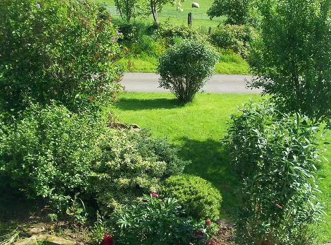 Elmfield House Bedale