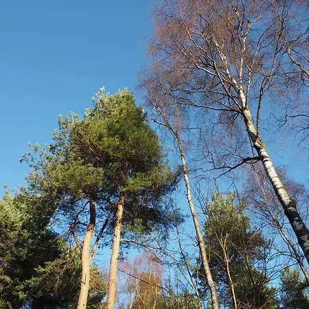 Elmfield House 4* Bedale